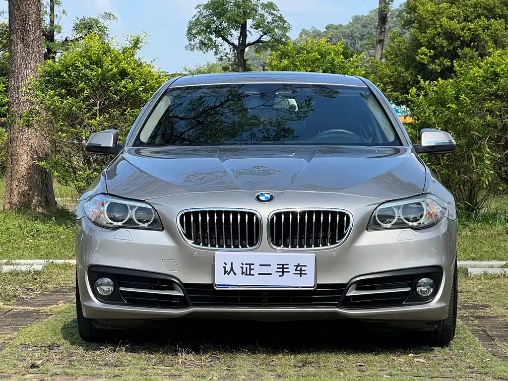 BMW 5 Series 2015 — фото 2