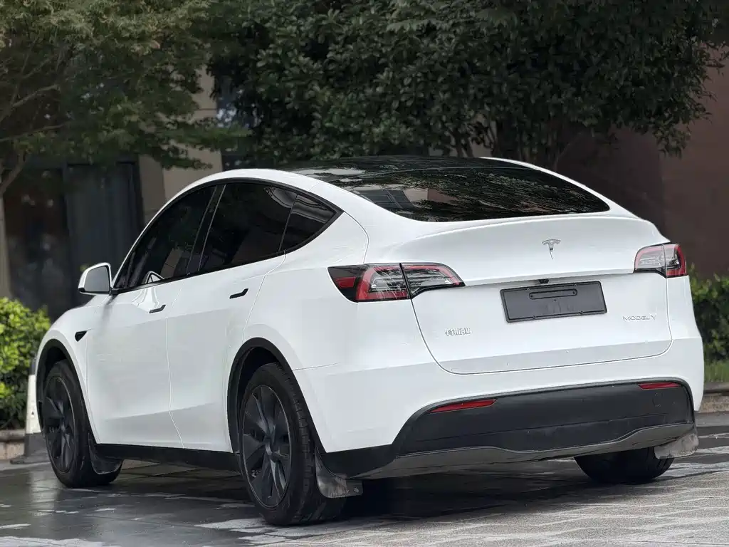 Tesla Model Y 2024 — фото 8