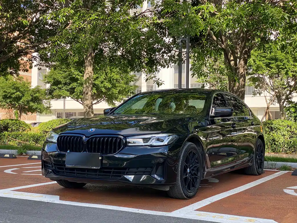 BMW 5 Series 2021