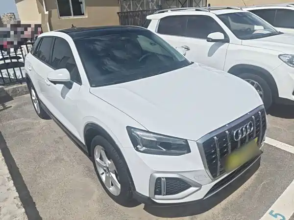 Audi Q2L 2022