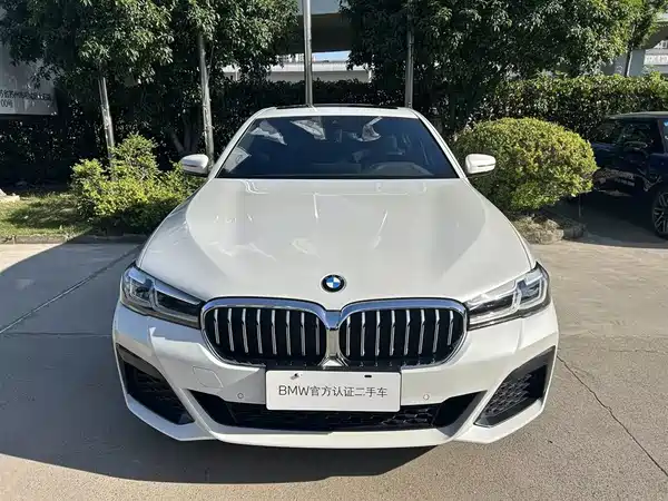 BMW 5 Series 2021