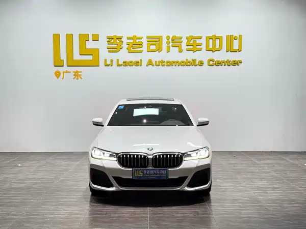 BMW 5 Series New Energy 2021