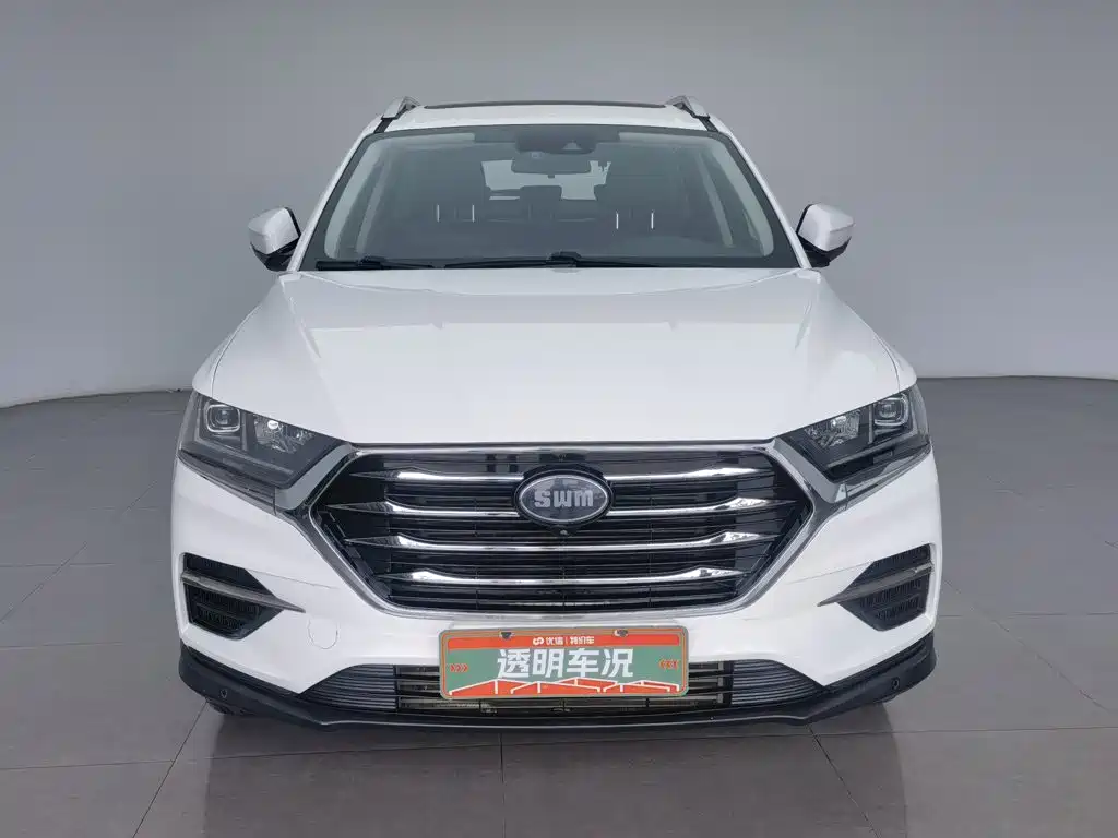 SWM G01 2019