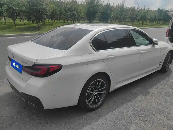 BMW 5 Series New Energy 2022