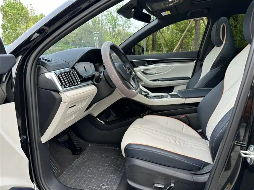 BYD PLUS New Energy 2023 — фото 23