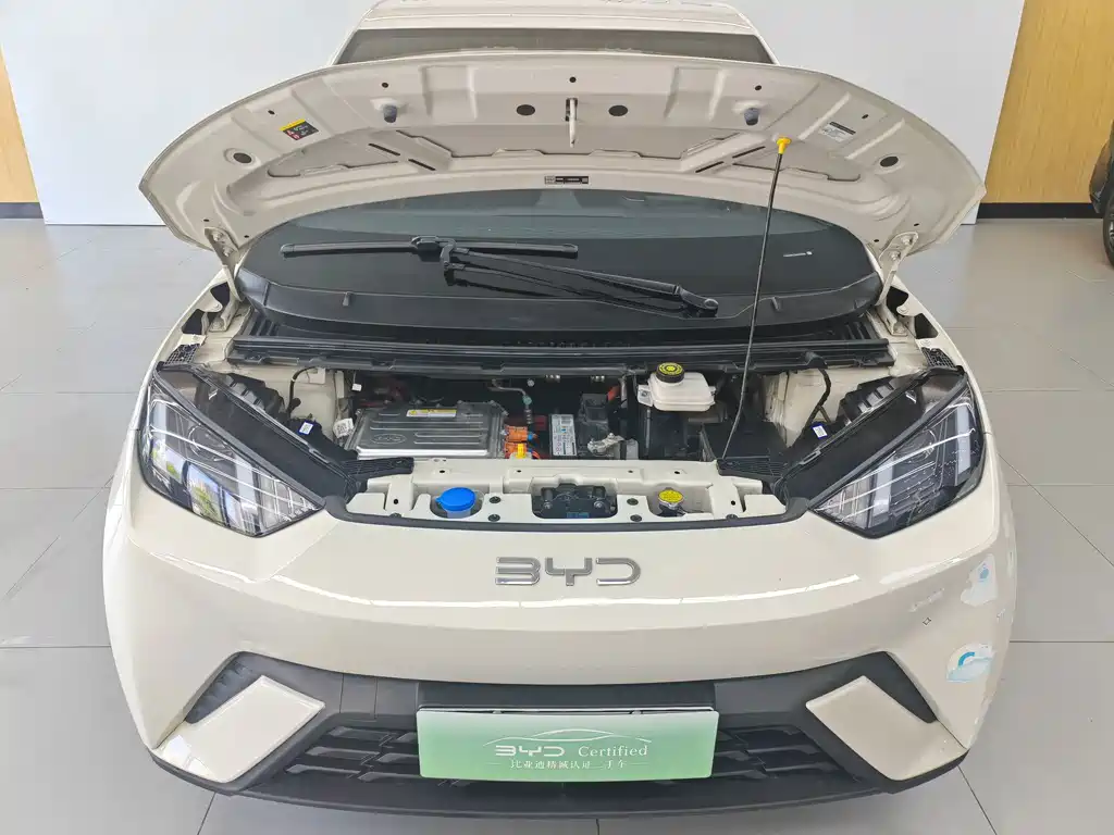BYD Seagull 2024
