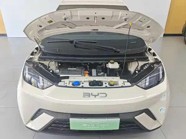 BYD Seagull 2024