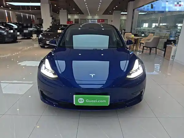 Tesla Model 3 2020