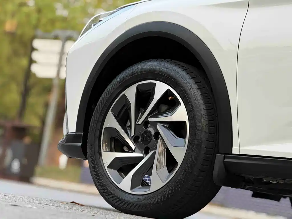 Dongfeng Yixuan GS 2021