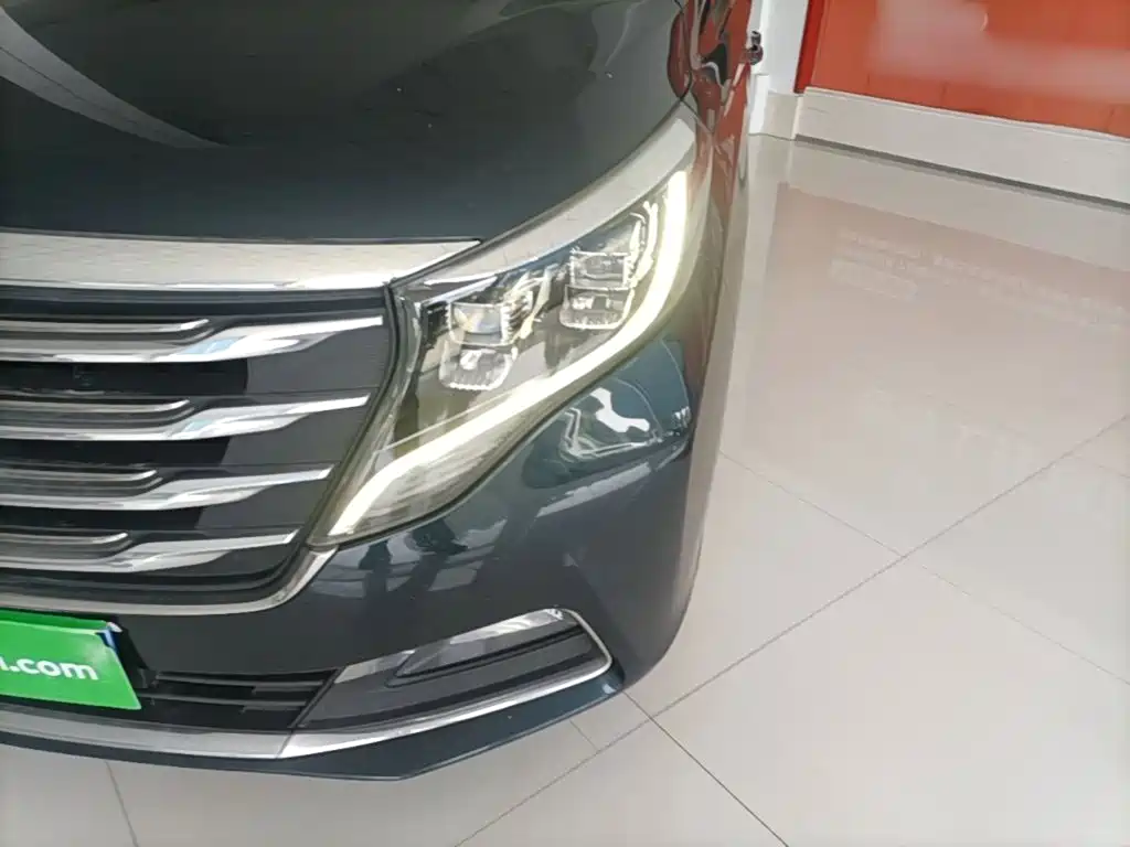 GAC Trumpchi M8 2019 — фото 24