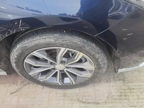 BYD Song MAX 2021