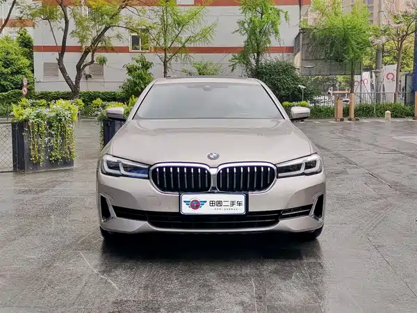 BMW 5 Series New Energy 2021
