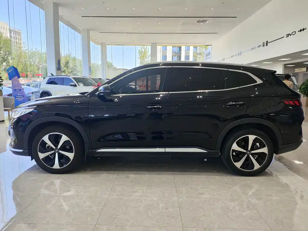 BYD Song PLUS New Energy 2021 — фото 8