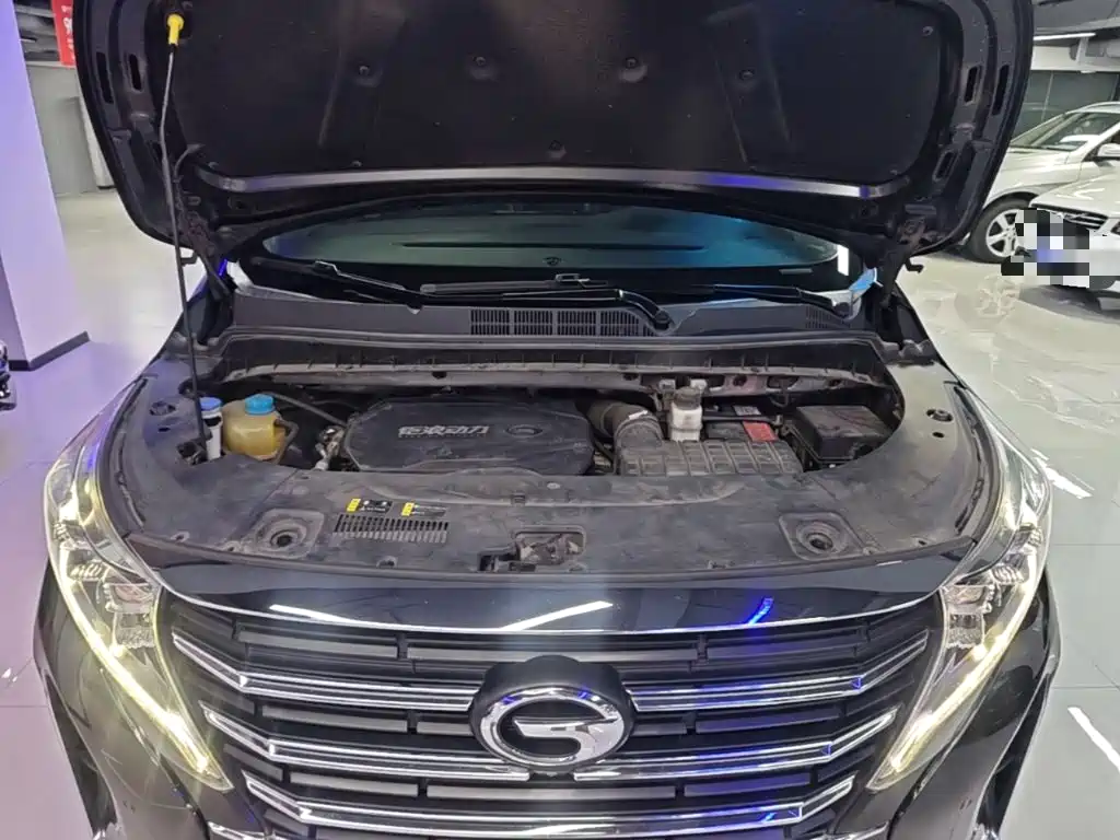 GAC Trumpchi M8 2023 — фото 20
