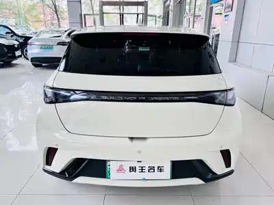BYD Dolphin 2024