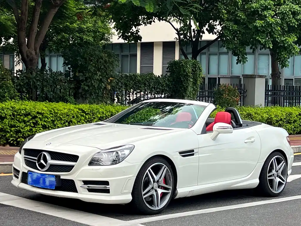 Mercedes-Benz SLK-Class 2013 — фото 1