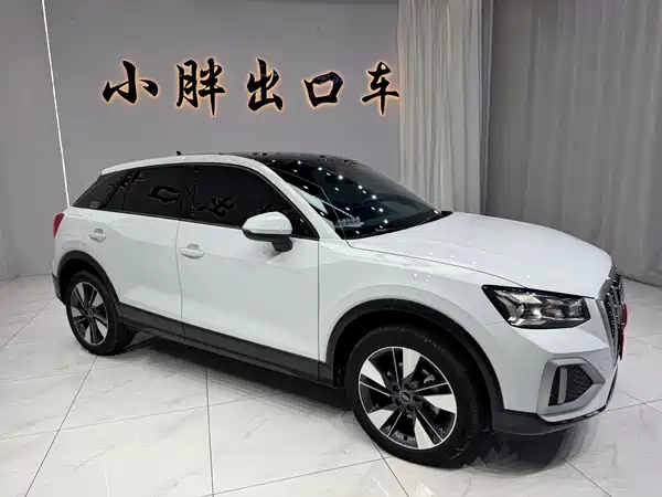 Audi Q2L 2022
