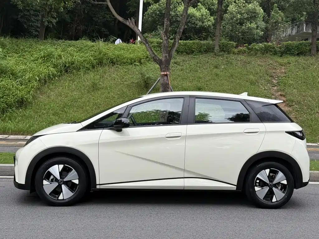 BYD Dolphin 2023