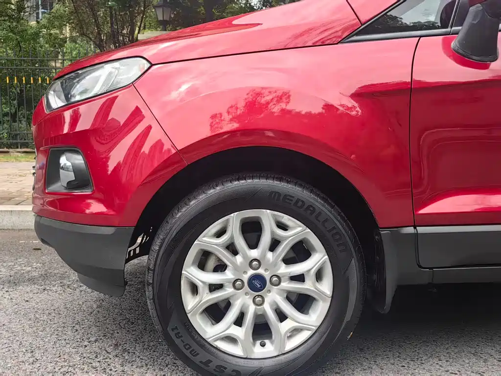 Ford Ecosport 2014 — фото 10