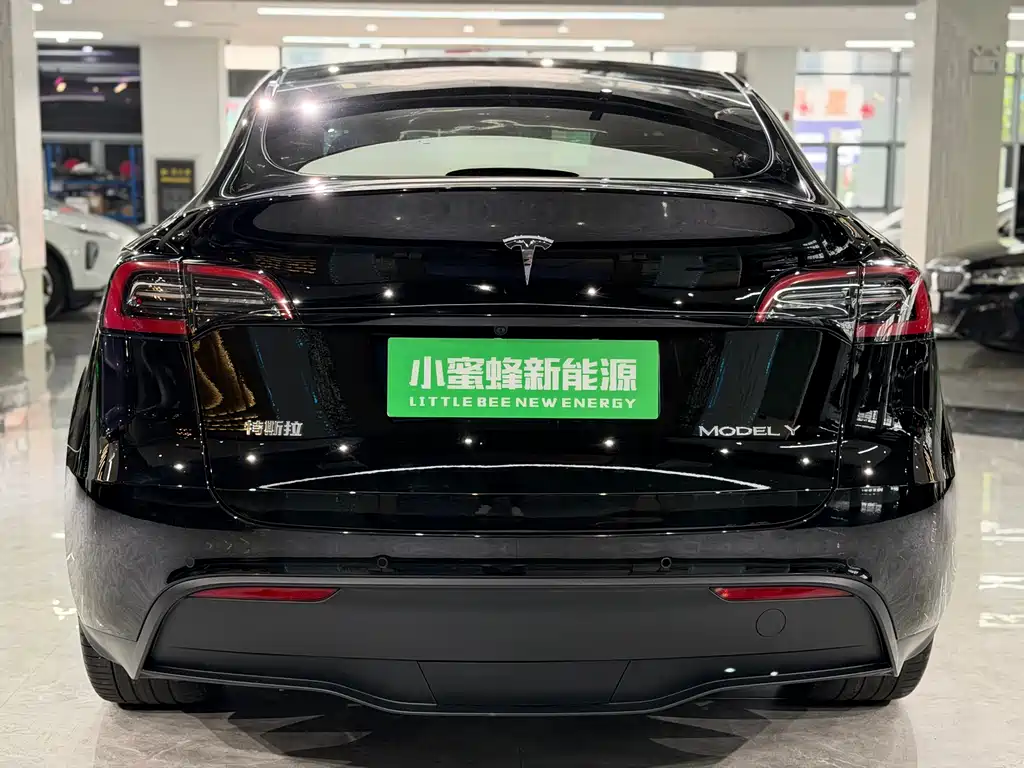 Tesla Model Y 2023 — фото 14