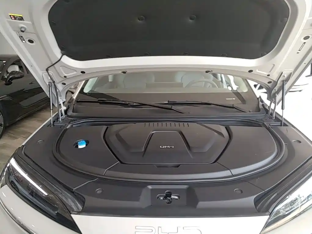BYD Sealion 07 DM-i 2025 — фото 20