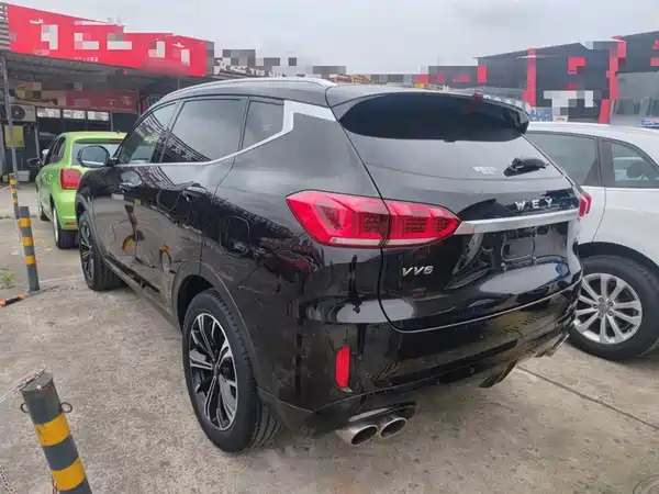 Wey VV6 2020
