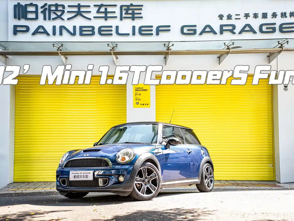MINI MINI 2012