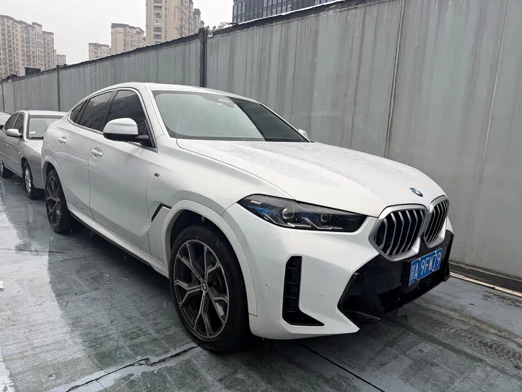 BMW X6 2024