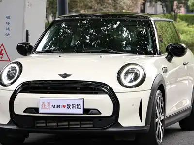 MINI MINI 2022