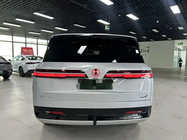 Denza N9 2025