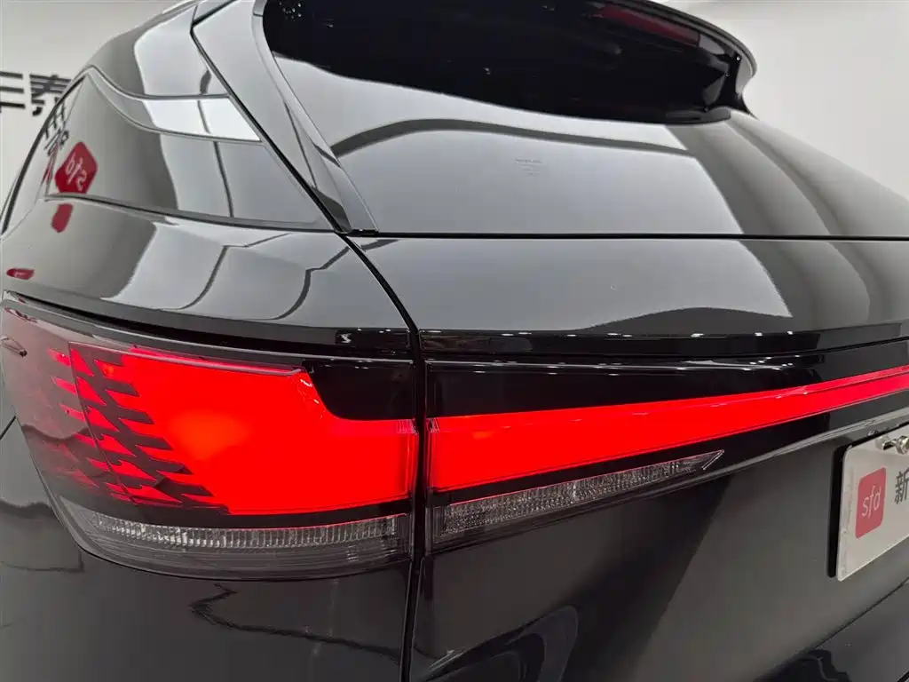 Lexus RX New Energy 2023 — фото 29