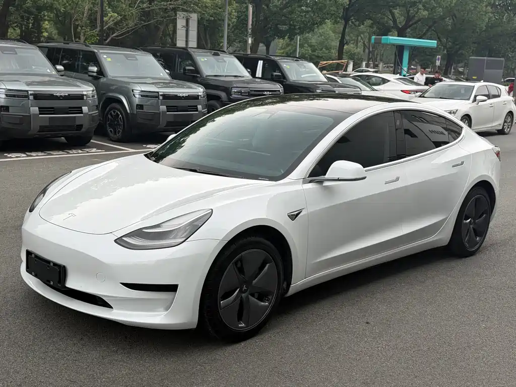 Tesla Model 3 2021 — фото 3