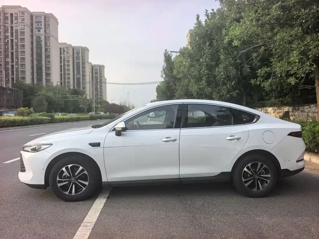 BYD Qin PLUS 2025
