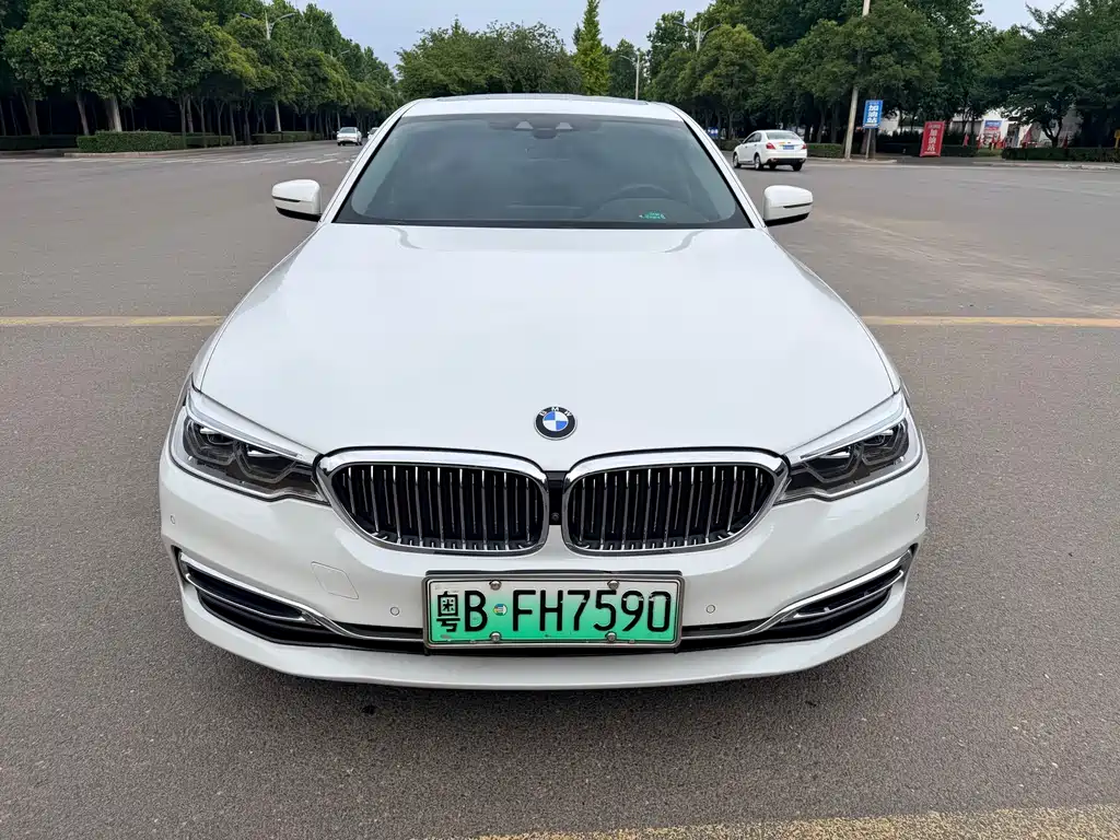 BMW 5 Series New Energy 2020