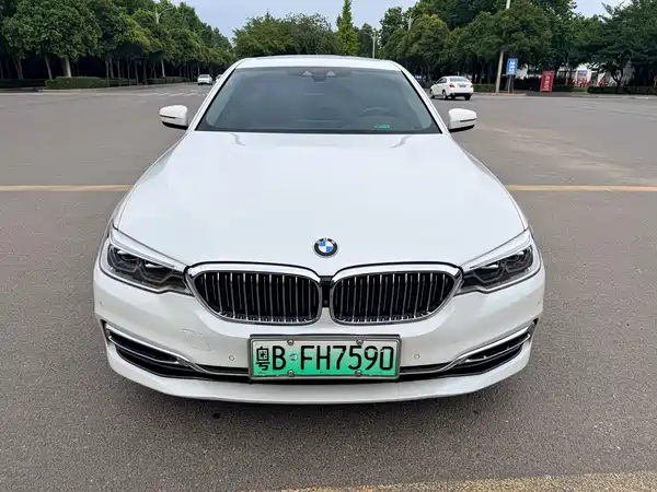 BMW 5 Series New Energy 2020