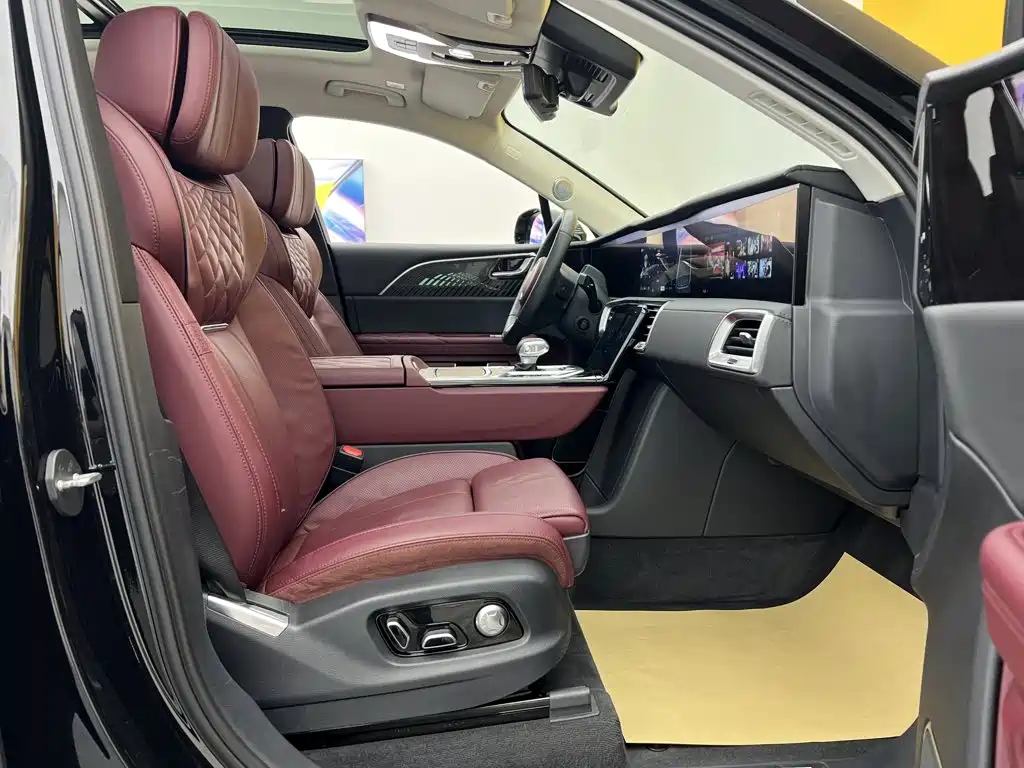 Hongqi E-HS9 2023 — фото 18