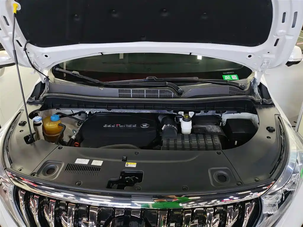 GAC Motor Trumpchi M8 2021 — фото 10
