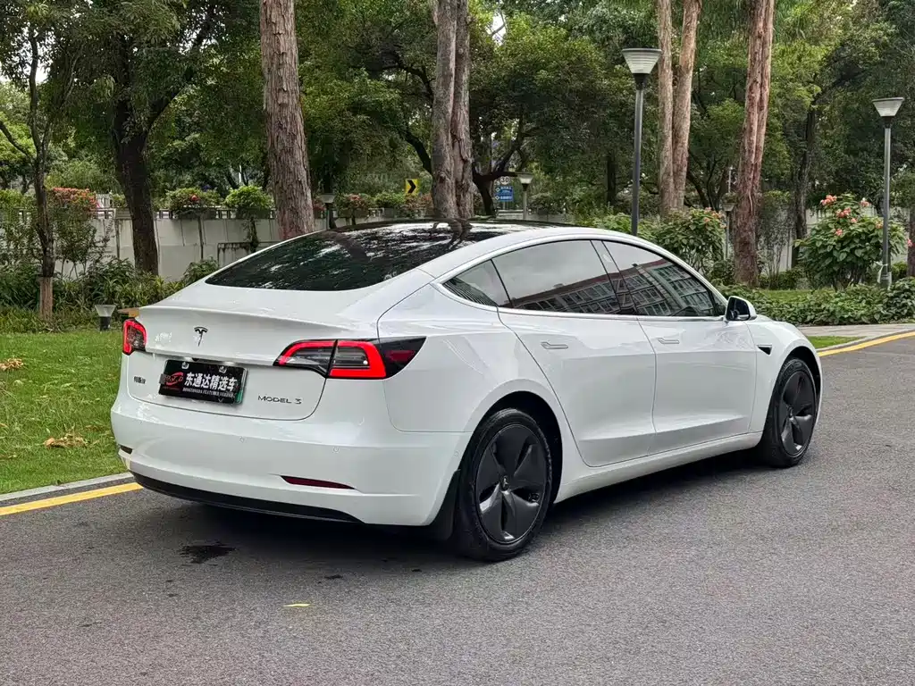 Tesla Model 3 2020 — фото 16