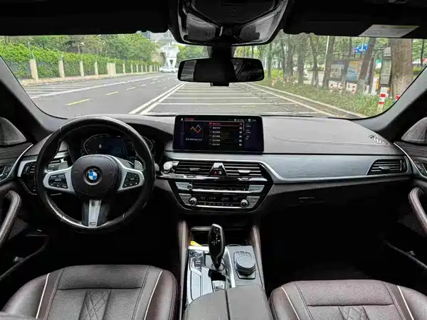 BMW 5 Series 2021
