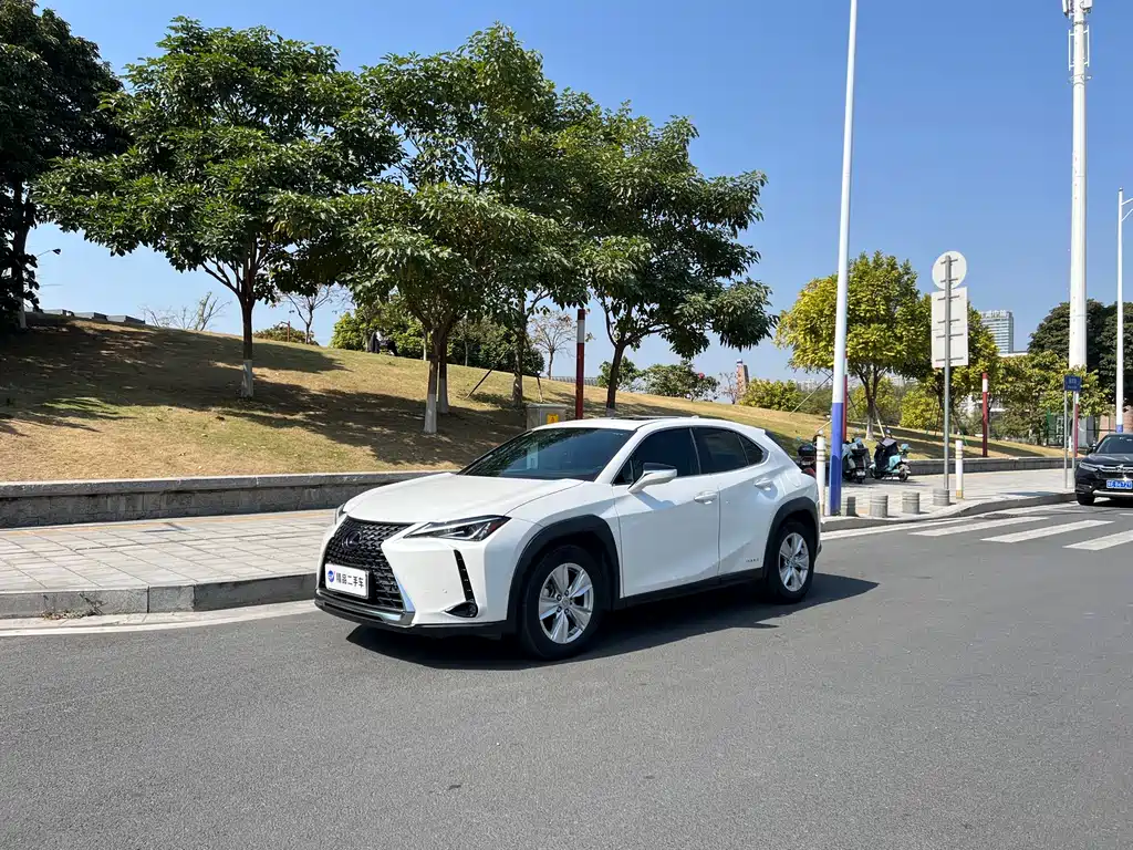 Lexus UX 2021 — фото 1