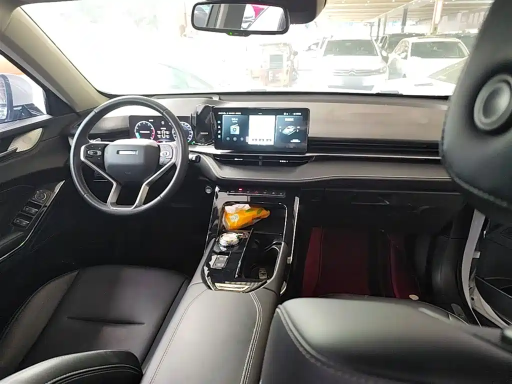 Haval H6 2021 — фото 10