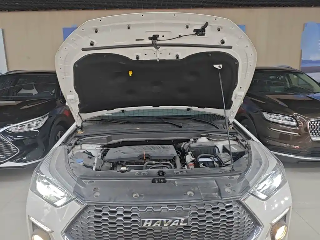 Haval H6 Coupe 2020 — фото 20