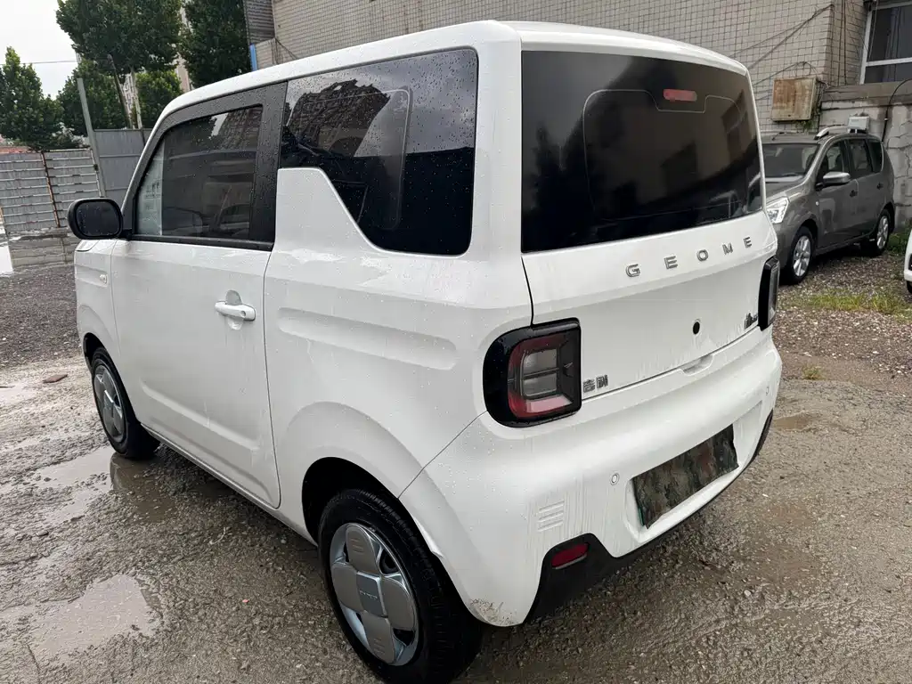 Geely Galaxy Panda 2024