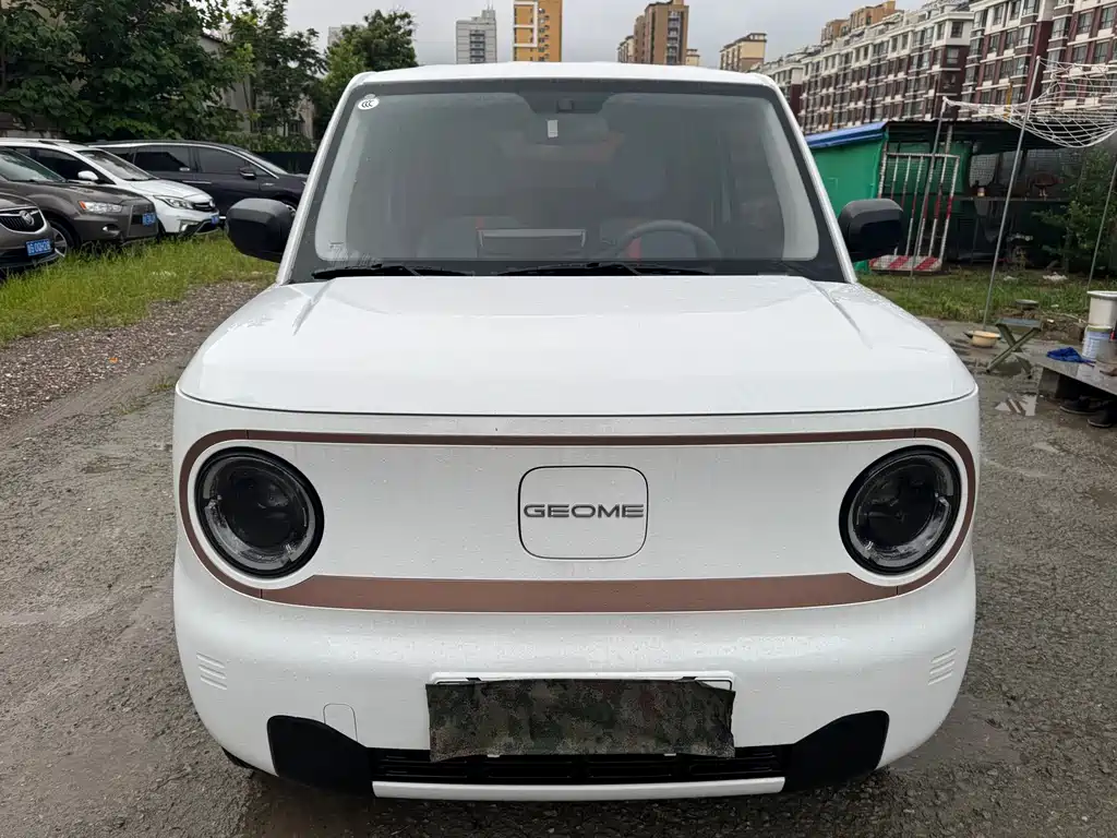 Geely Galaxy Panda 2024