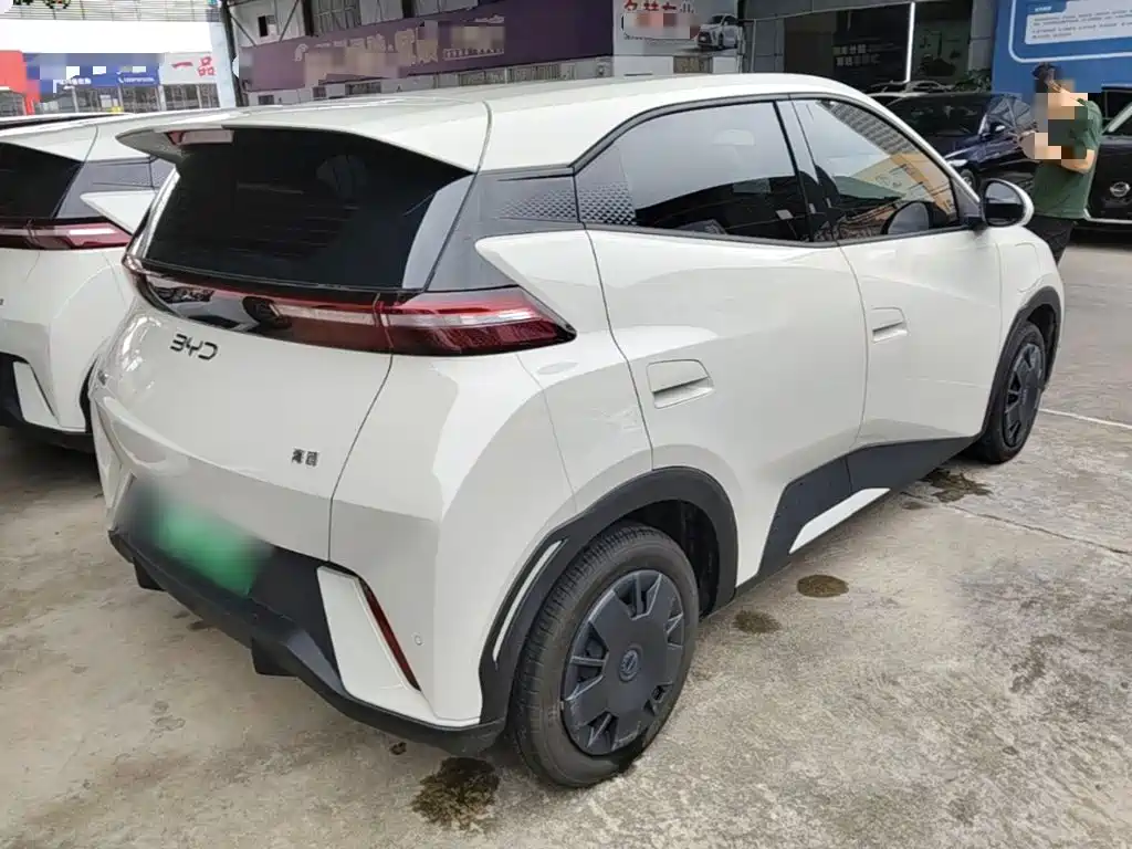 BYD Seagull 2024