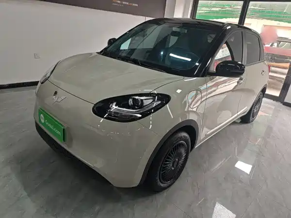 Wuling Bingo 2024