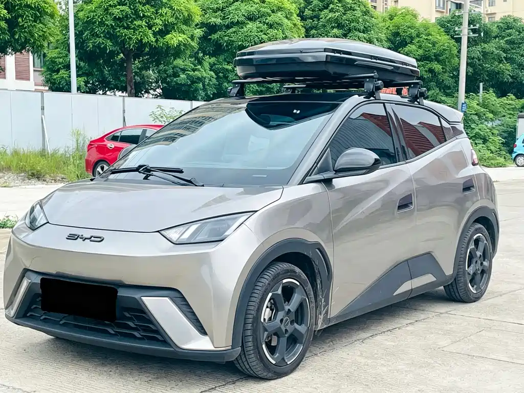 BYD Seagull 2024