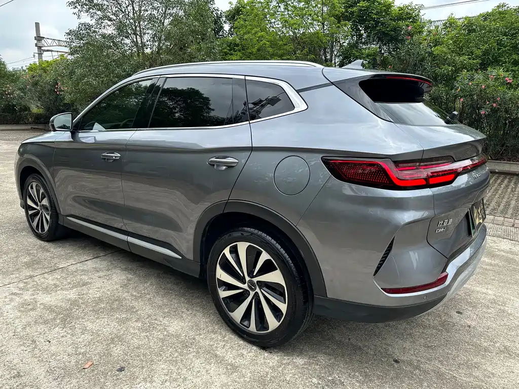 BYD PLUS New Energy 2024 — фото 10