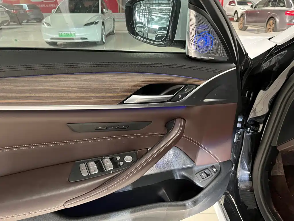 BMW 5 Series New Energy 2019