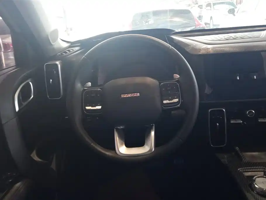 Haval Big Dog 2020 — фото 15